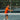 The History of Court Sports Tennis and Pickleball