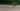 Person running on a path with greenery in the background