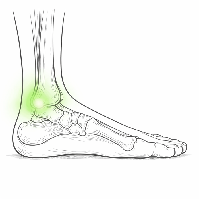 Ankle Rolls